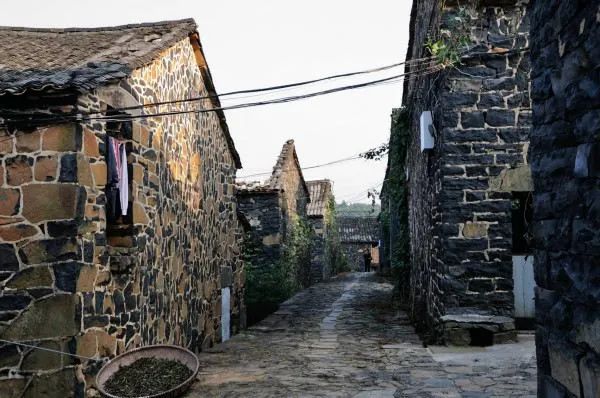 c6c525902b4d0eb92c867a6ed721dd17